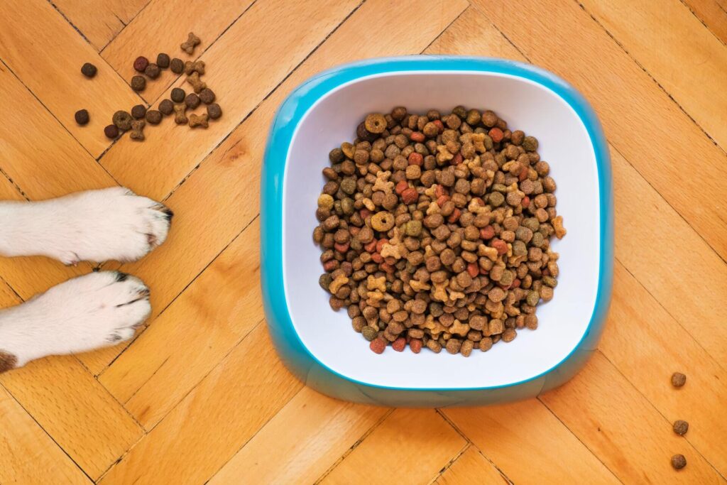 A bowl of kibble on a wood floor with two paws stretched out reaching for it