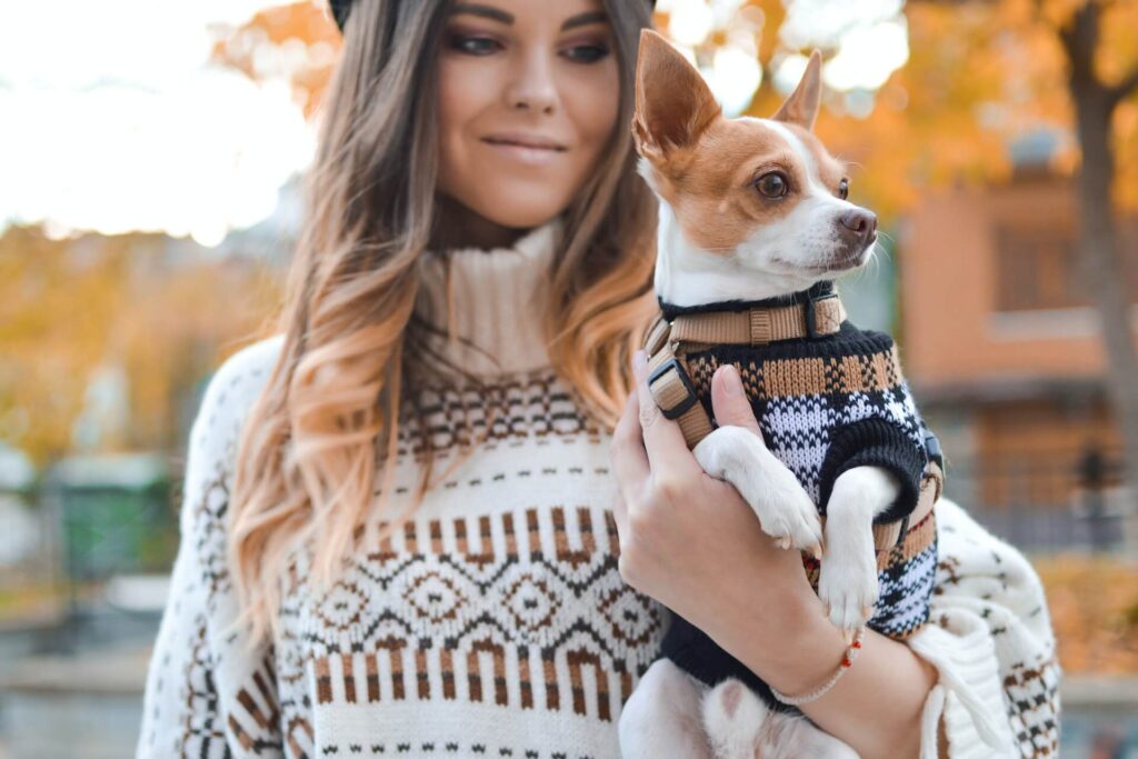 a woman wearing a white sweater holding a clingy needy chihuahua
