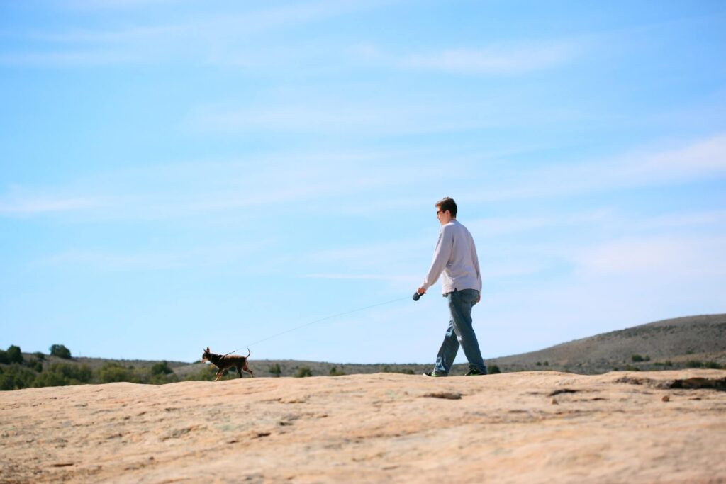 A man walking a chihuahua