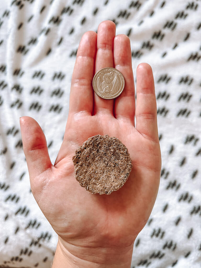 a hand with the palm up is holding treats and a quarter to compare the size