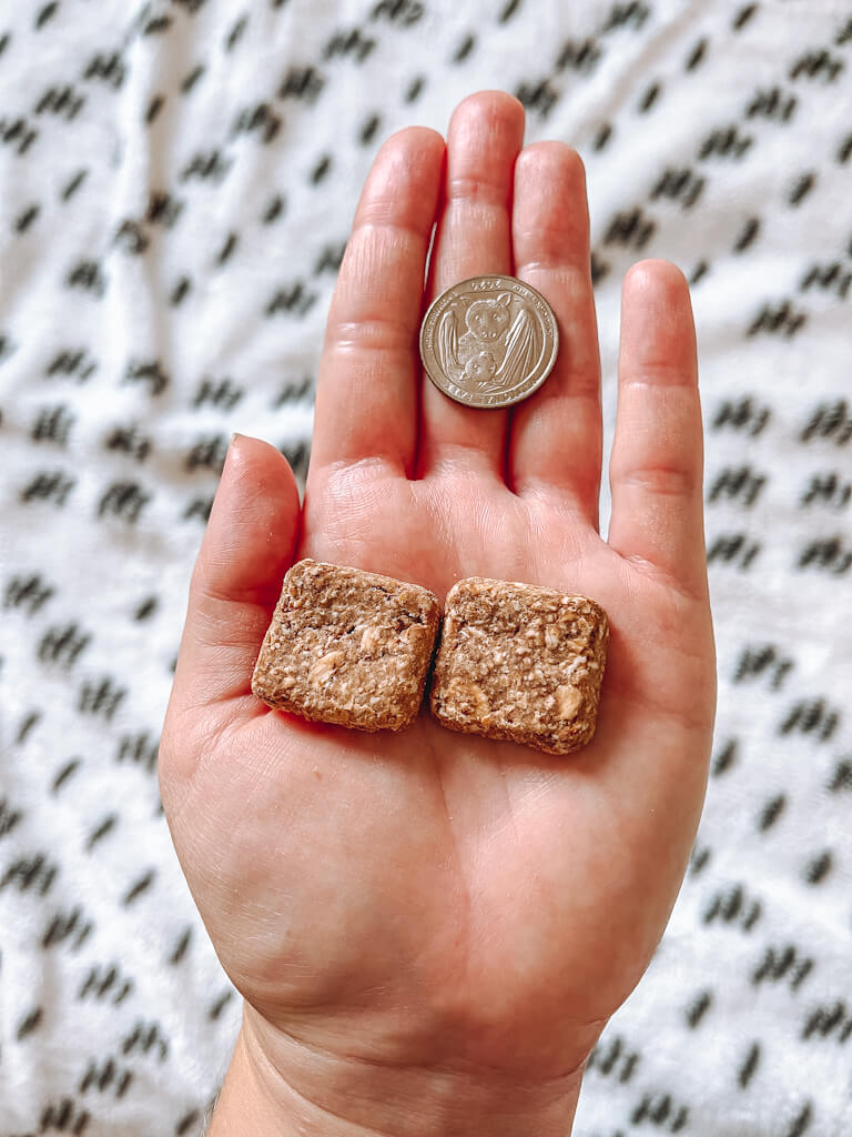 a hand with the palm up is holding treats and a quarter to compare the size