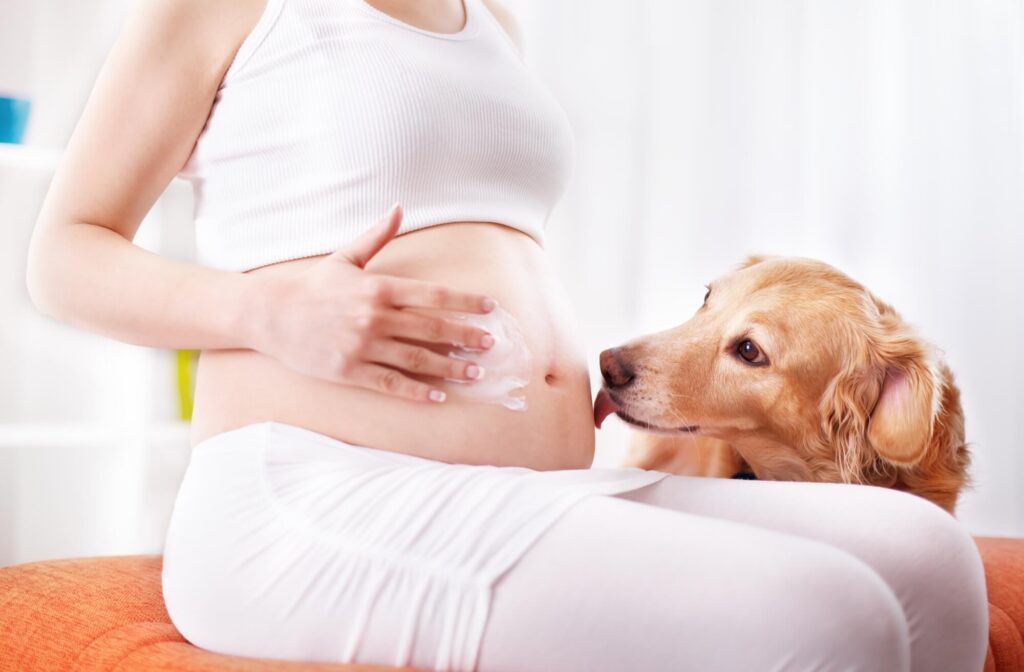 a dog licking the belly button of a woman