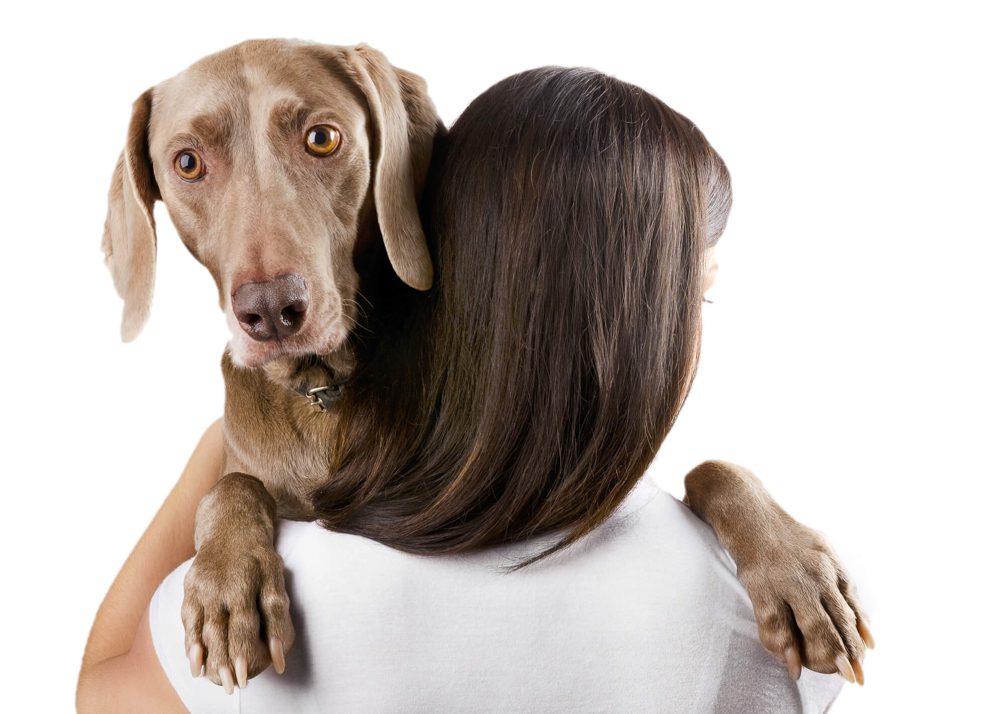 14-reasons-why-your-dog-wraps-his-paws-around-you